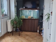 Crangasi, 2 minute metrou